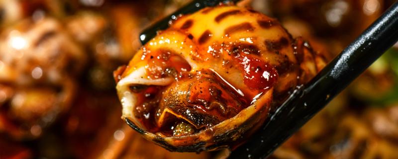 海螺可以生吃吗（海螺哪个部位不能吃图解）